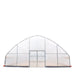 TMG Industrial 30’ x 30’ Tunnel Greenhouse Grow Tent w/6 Mil Clear EVA Plastic Film, Cold Frame, Hand Crank Roll-Up Sides, Peak Ceiling Roof, TMG-GH3030