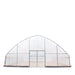 30' x 40' Commercial Tunnel Greenhouse with 6 Mil Clear Poly Covers and Roll-Up Sides TMG-GH3040-V2 (Previously GH3040) TMG Industrial CA