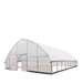 30' x 40' Commercial Tunnel Greenhouse with 6 Mil Clear Poly Covers and Roll-Up Sides TMG-GH3040-V2 (Previously GH3040) TMG Industrial CA