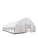 30' x 40' Commercial Tunnel Greenhouse with 6 Mil Clear Poly Covers and Roll-Up Sides TMG-GH3040-V2 (Previously GH3040) TMG Industrial CA