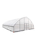 30' x 40' Commercial Tunnel Greenhouse with 6 Mil Clear Poly Covers and Roll-Up Sides TMG-GH3040-V2 (Previously GH3040) TMG Industrial CA