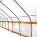 30' x 40' Commercial Tunnel Greenhouse with 6 Mil Clear Poly Covers and Roll-Up Sides TMG-GH3040-V2 (Previously GH3040) TMG Industrial CA