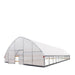 TMG Industrial 30’ x 60’ Tunnel Greenhouse Grow Tent w/6 Mil Clear EVA Plastic Film, Cold Frame, Hand Crank Roll-Up Sides, Peak Ceiling Roof, TMG-GH3060