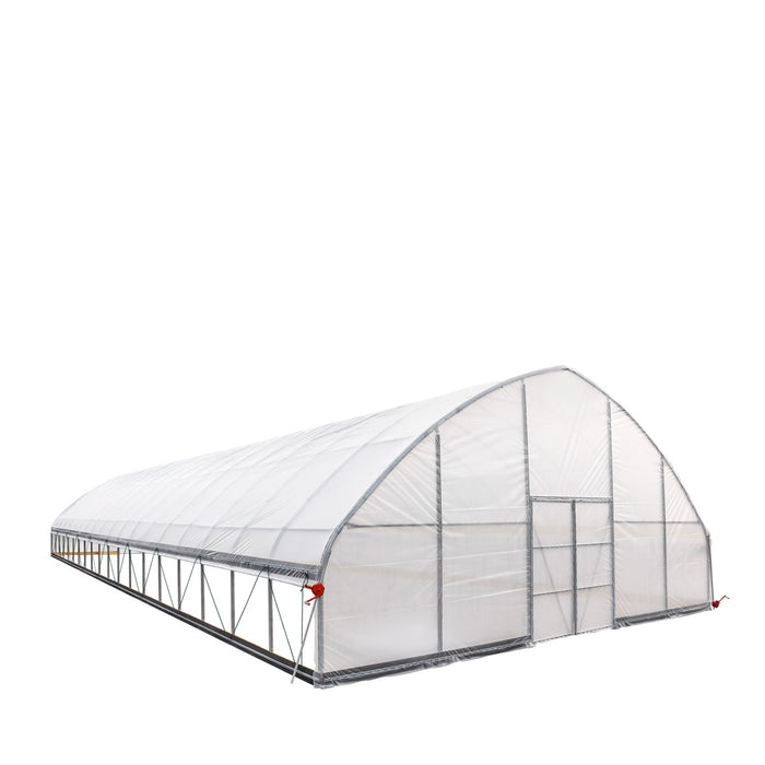9.1 m x 24.4 m Commercial Tunnel Greenhouse (30' x 80') with 0.15 mm (6 Mil) Clear Poly Covers and Roll-Up Sides, TMG-GH3080-V2 TMG Industrial Australia
