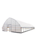 9.1 m x 24.4 m Commercial Tunnel Greenhouse (30' x 80') with 0.15 mm (6 Mil) Clear Poly Covers and Roll-Up Sides, TMG-GH3080-V2 TMG Industrial Australia