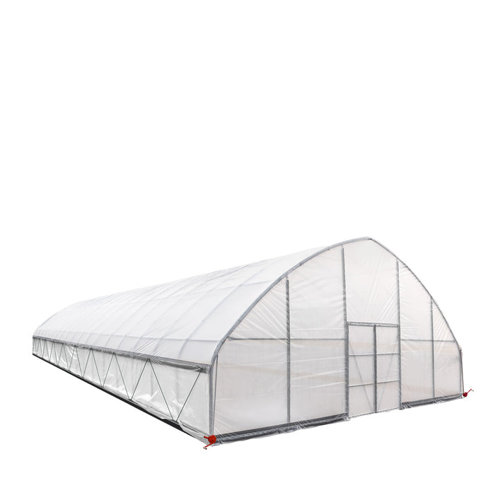 9.1 m x 24.4 m Commercial Tunnel Greenhouse (30' x 80') with 0.15 mm (6 Mil) Clear Poly Covers and Roll-Up Sides, TMG-GH3080-V2 TMG Industrial Australia