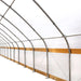 TMG Industrial 30’ x 150’ Tunnel Greenhouse Grow Tent w/6 Mil Clear EVA Plastic Film, Cold Frame, Hand Crank Roll-Up Sides, Peak Ceiling Roof, TMG-GH30150