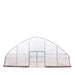 TMG Industrial 30’ x 60’ Tunnel Greenhouse Grow Tent w/6 Mil Clear EVA Plastic Film, Cold Frame, Hand Crank Roll-Up Sides, Peak Ceiling Roof, TMG-GH3060