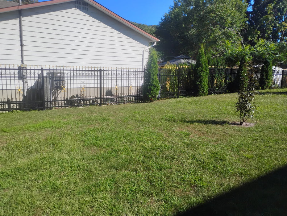 265-ft Bi-Parting Ornamental Wrought Iron Gate & Fence Panels Combo Pack, All Steel, Powder Coated, TMG-MG265P (To be Discontinued) TMG Industrial